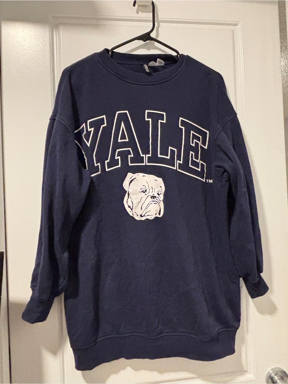 H&M Navy Crewneck Sweatshirt with Yale Bulldog Graphic